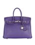 Birkin 25 in Veau Togo Iris, front view